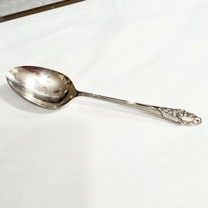 Vintage Oneida Community Evening Star Casserole Spoon silverplate 8.5"